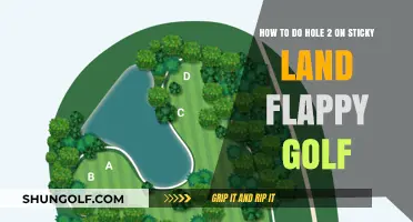 Mastering Hole 2 on Sticky Land in Flappy Golf: Tips and Tricks