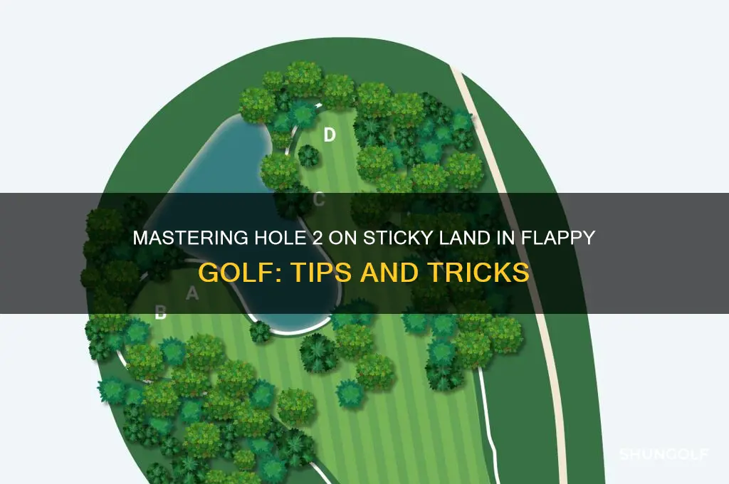 how to do hole 2 on sticky land flappy golf