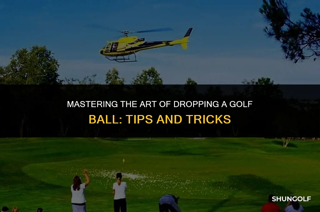 how to drop a ball in golf