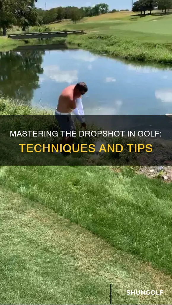 how to dropshot golf