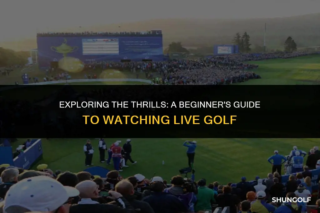 how to eatch liv golf