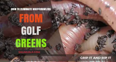 Effective Strategies to Remove Nightcrawlers from Golf Greens