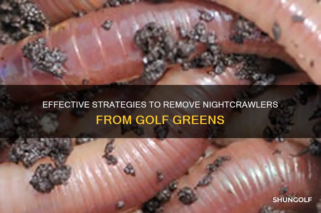 how to eliminate nightcrawlers from golf greens