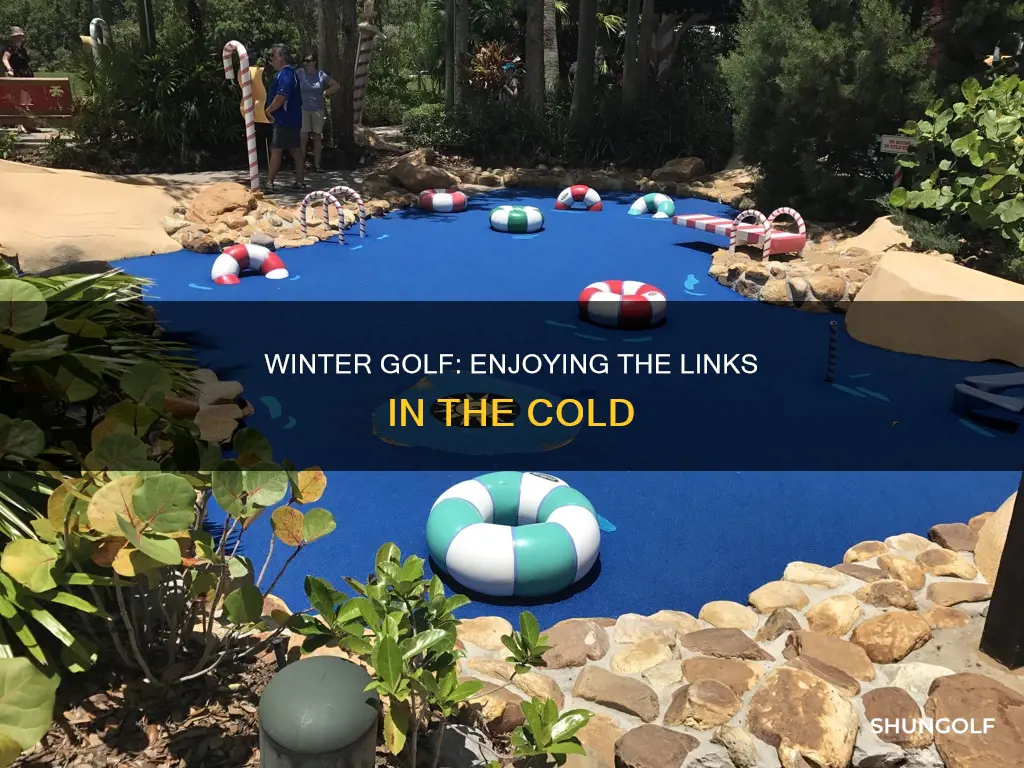 how to enjoy winter golf