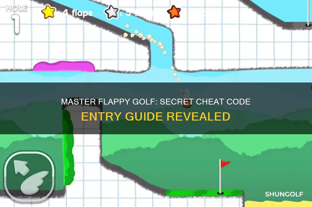 how to enter cheat codes for flappy golf