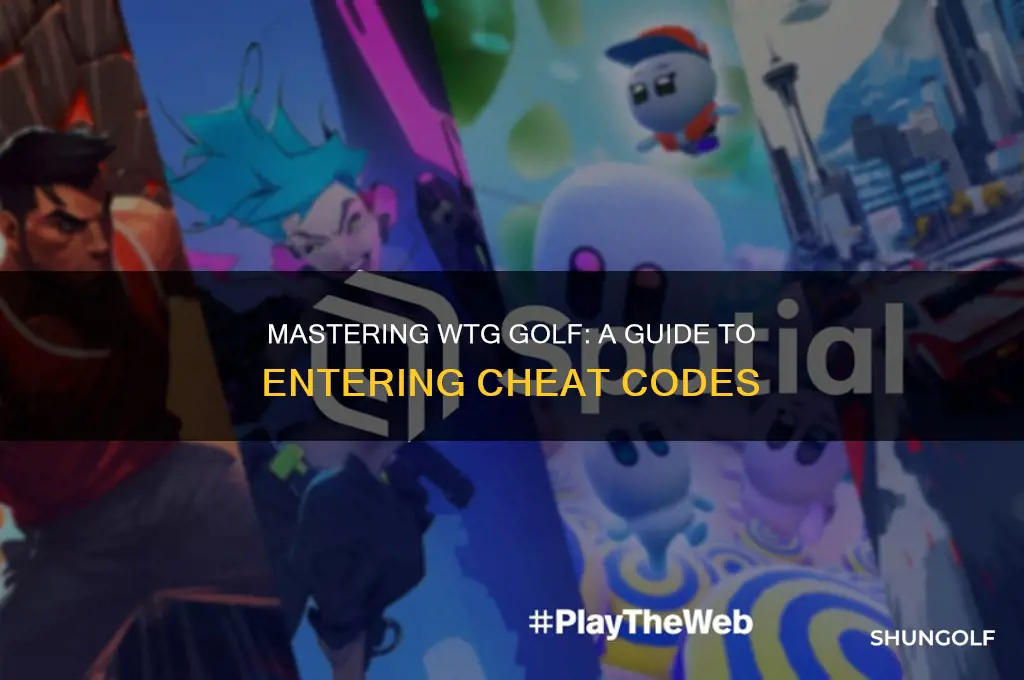 how to enter cheat codes in wtg golf