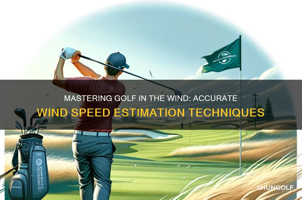 how to estimate wind speed for golf