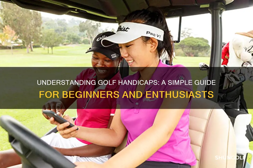 how to explain a handicap in golf