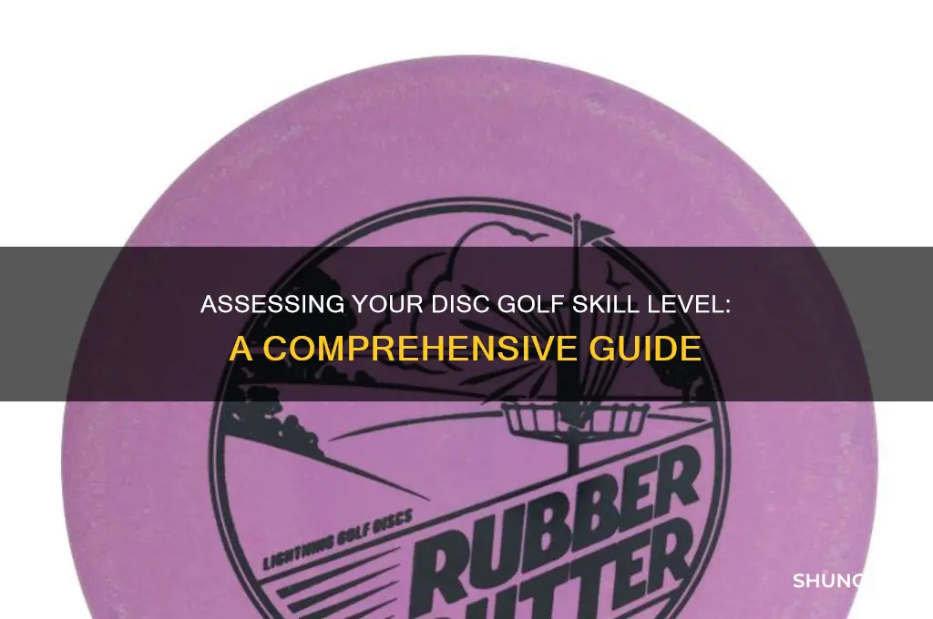 how to figure out disc golf level of play