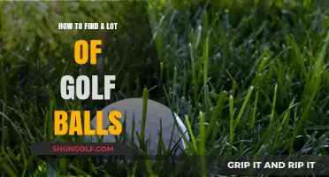 Unearthing Treasures: A Golfer's Guide to Finding Lost Balls
