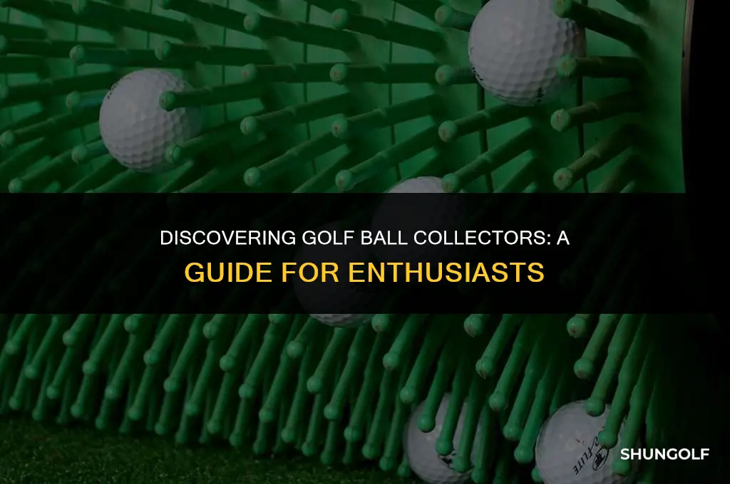 how to find golf ball collectors