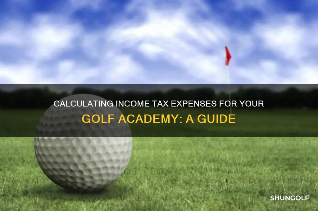 how to find income tax enpense for golf academy
