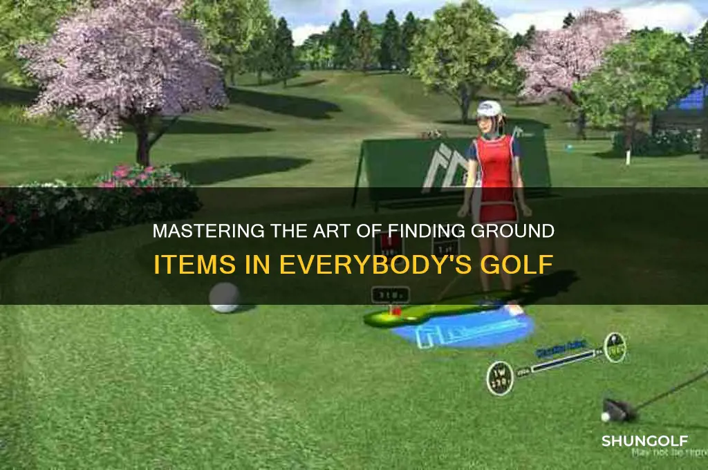 how to find items on ground everybody