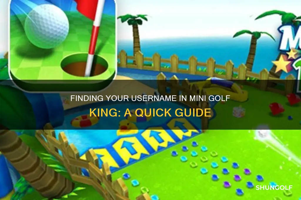 how to find your username in mini golf king