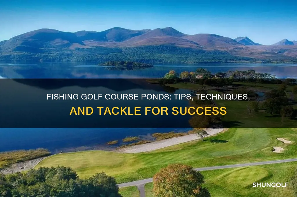 how to fish a golf course pond