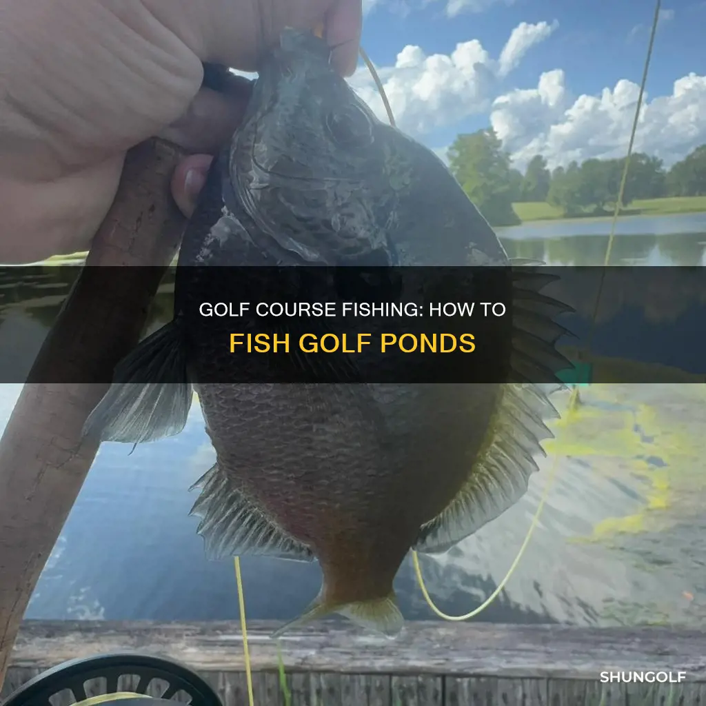 how to fish golf ponds