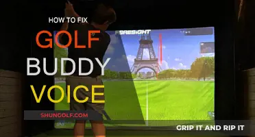 Golf Buddy Voice: Troubleshooting Guide
