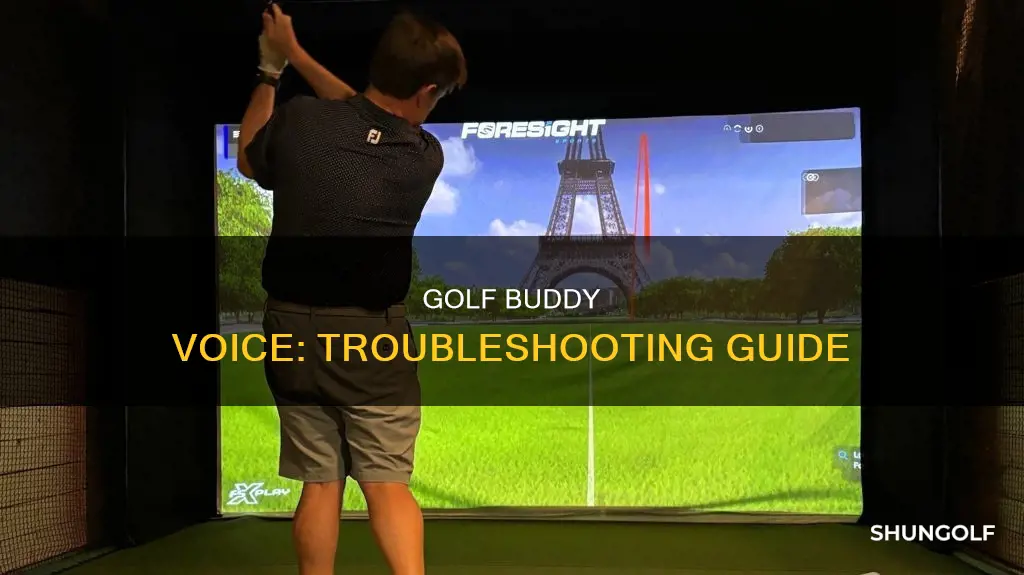 how to fix golf buddy voice