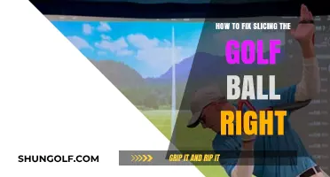 Master Your Swing: Cure Your Slice and Drive Straight