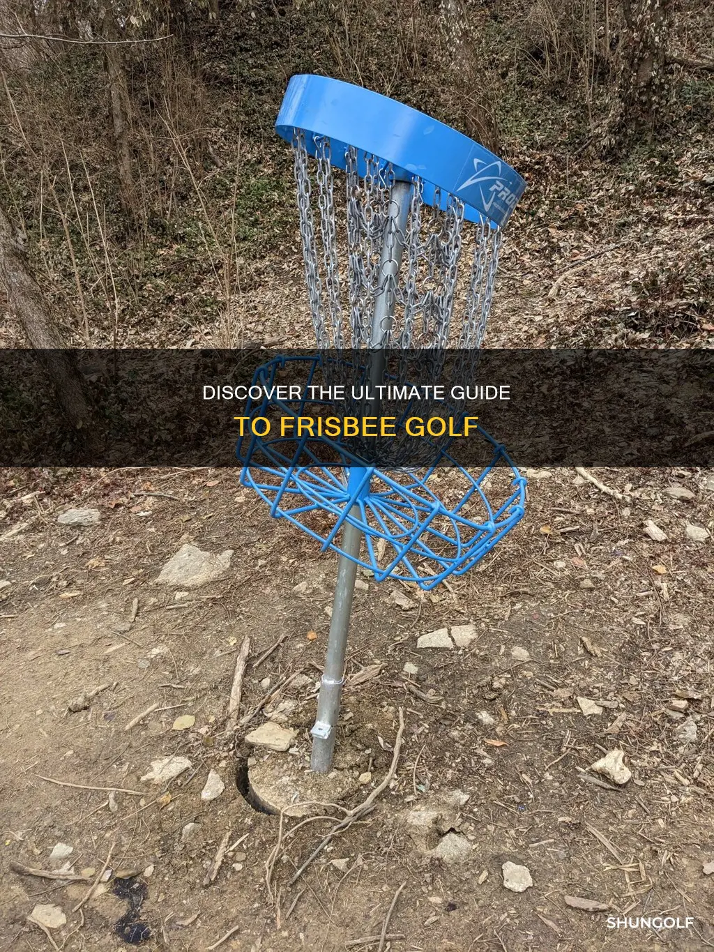 how to frisbee golf