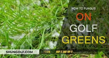 Battling Fungus on Golf Greens