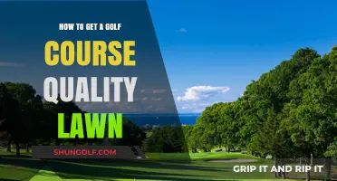Achieve a Golf Course Quality Lawn: Expert Tips and Techniques