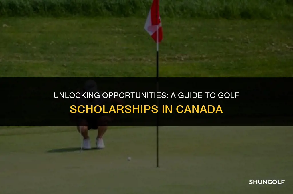how to get a golf scholarship in canada