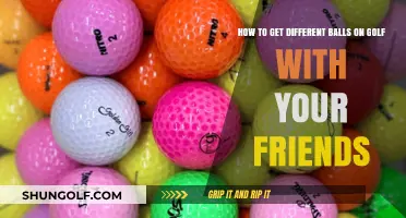 Mastering the Fairway: A Guide to Golf Balls for Every Buddy