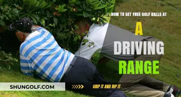 Score Big: Insider Tips on Snagging Free Golf Balls at Driving Ranges