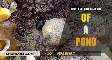 Pond Fishing for Golf Balls: Tips and Tricks