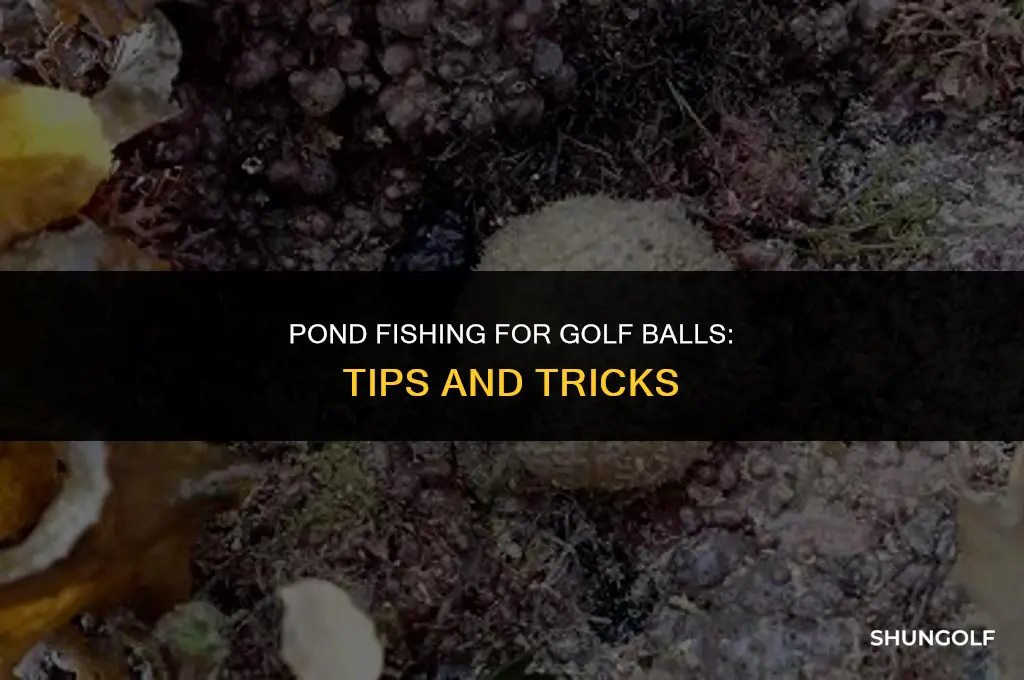 how to get golf balls out of a pond