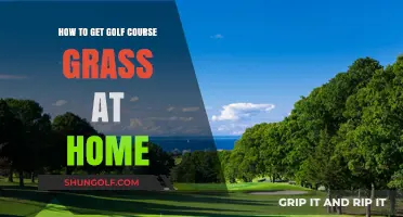 Transform Your Lawn: Achieve Golf Course Grass at Home Easily