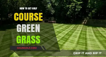 Achieve Perfect Golf Course Green Grass: Expert Tips and Techniques