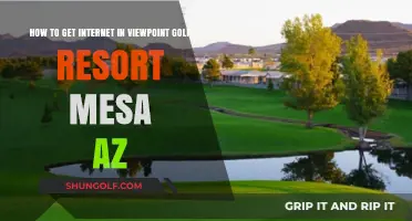Stay Connected: Guide to Internet Access at Viewpoint Golf Resort, Mesa, AZ