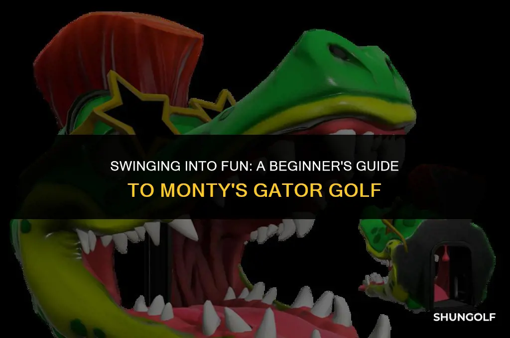 how to get into monty