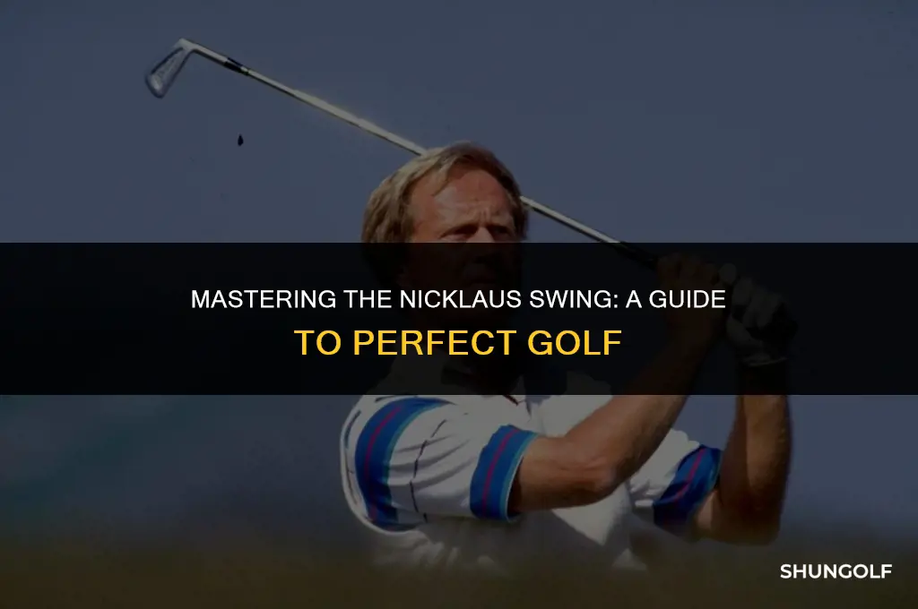how to get jack nicklaus perfect golf