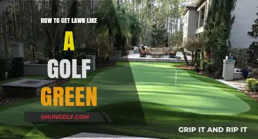 Achieving a Golf Green Lawn: Tips and Tricks for Perfection
