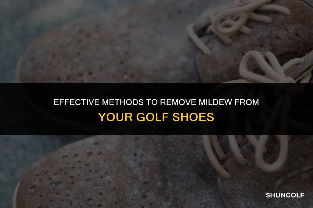 how to get mildew out of a golf shoe