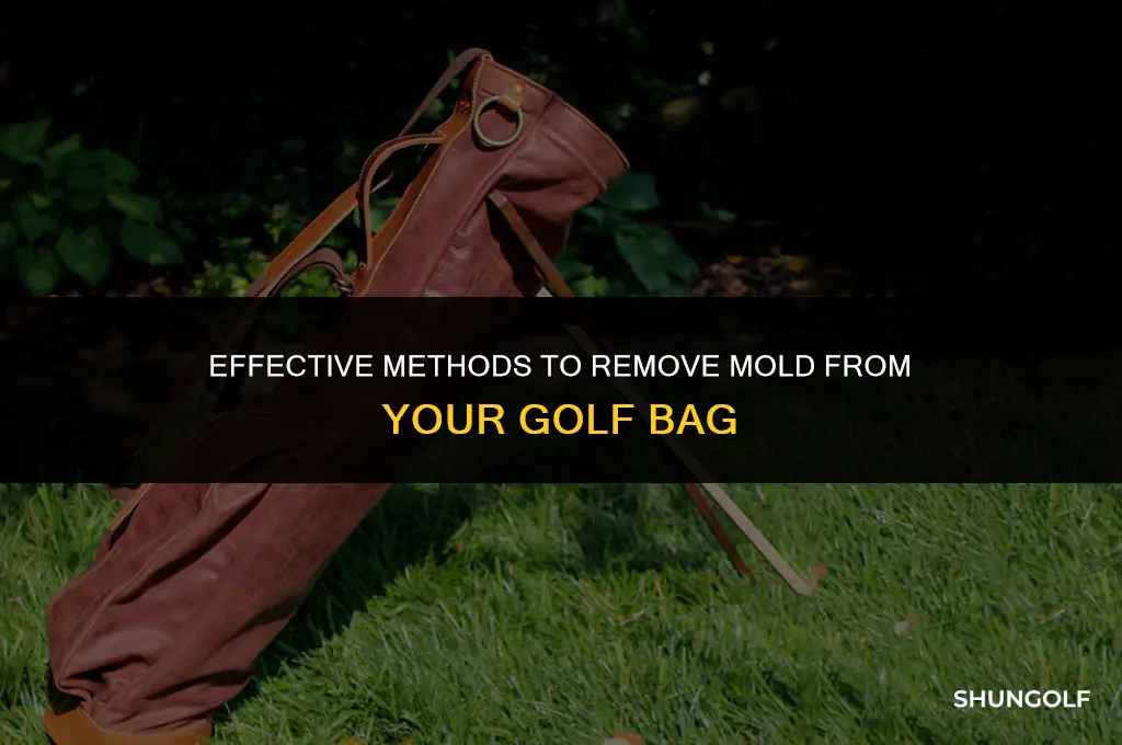 how to get mold out of golf bag
