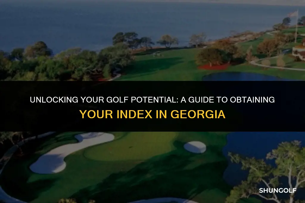 how to get my golf index in georgia