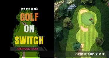 Swing into Nostalgia: Playing NES Golf on Your Nintendo Switch