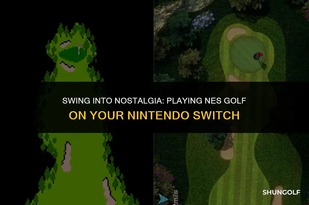 how to get nes golf on switch