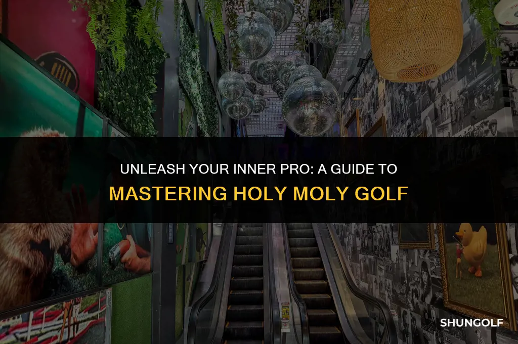 how to get on holy moly golf