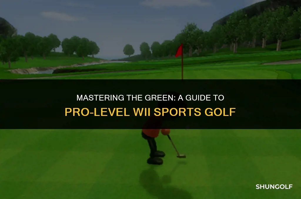 how to get pro in wii sports golf