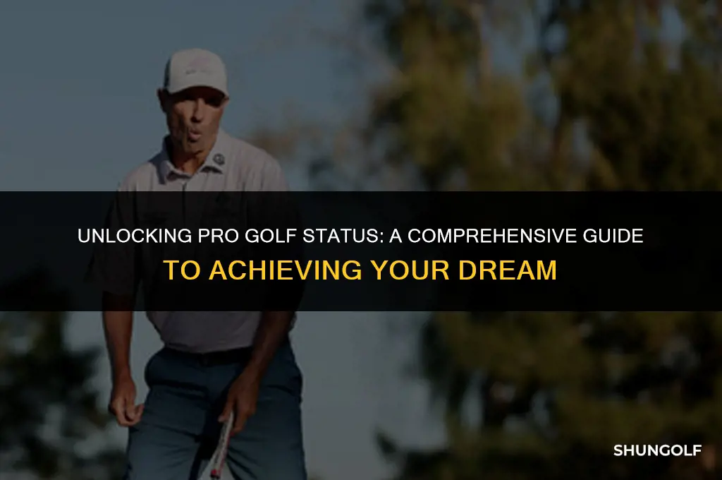 how to get professional golf status