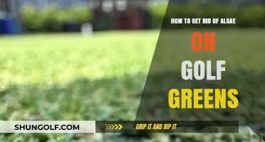 Eradicating Algae on Golf Greens: A Comprehensive Guide