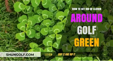Effective Strategies to Eliminate Clover Around Your Golf Green