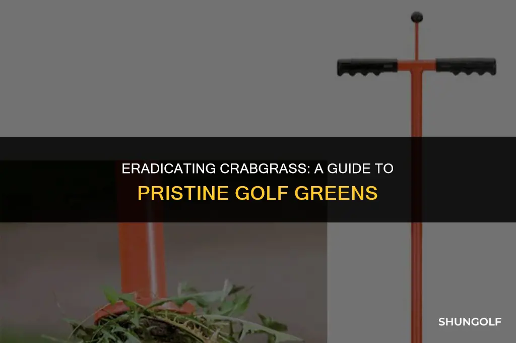 how to get rid of crabgrass on a golf green