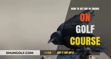 Effective Strategies to Deter Crows from Your Golf Course