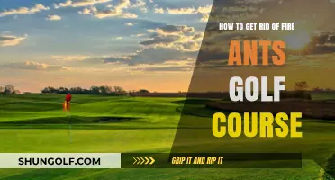 Effective Strategies to Eliminate Fire Ants from Your Golf Course